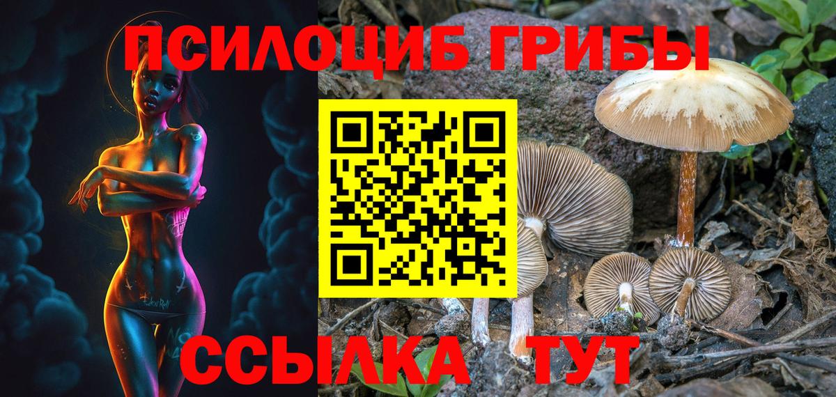 Псилоцибиновые грибы мицелий Люберцы