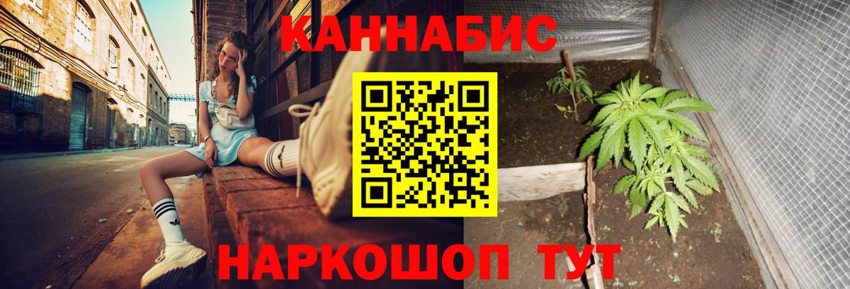 Марихуана сатива Люберцы